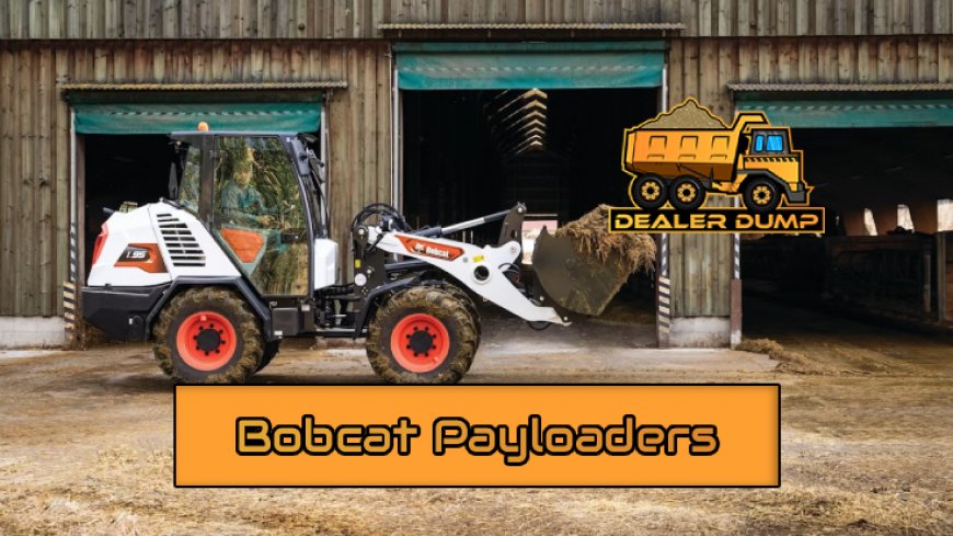 Top 10 Bobcat Payloaders for 2025